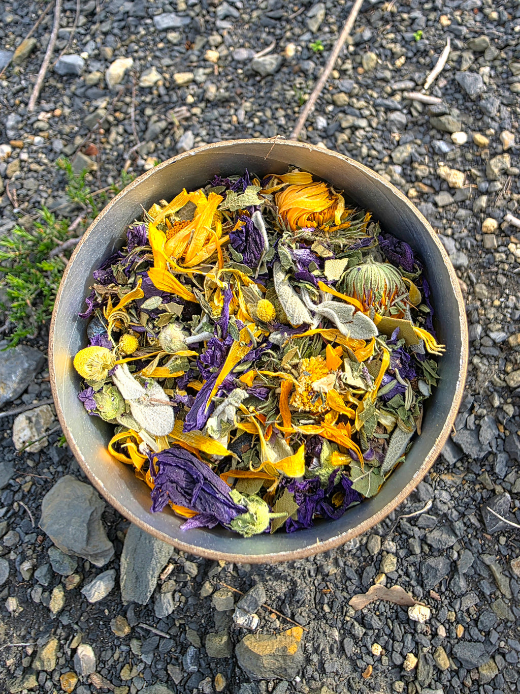 Plantes aromatiques historiques pour cuisiner au chaudron 