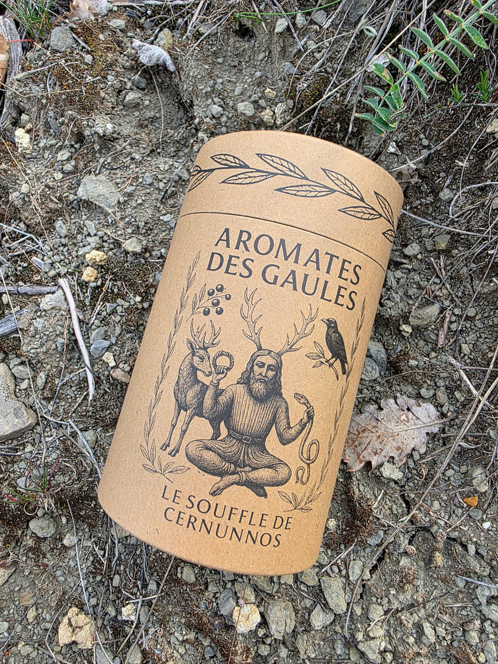 Aromates pour la cuisine au chaudron 