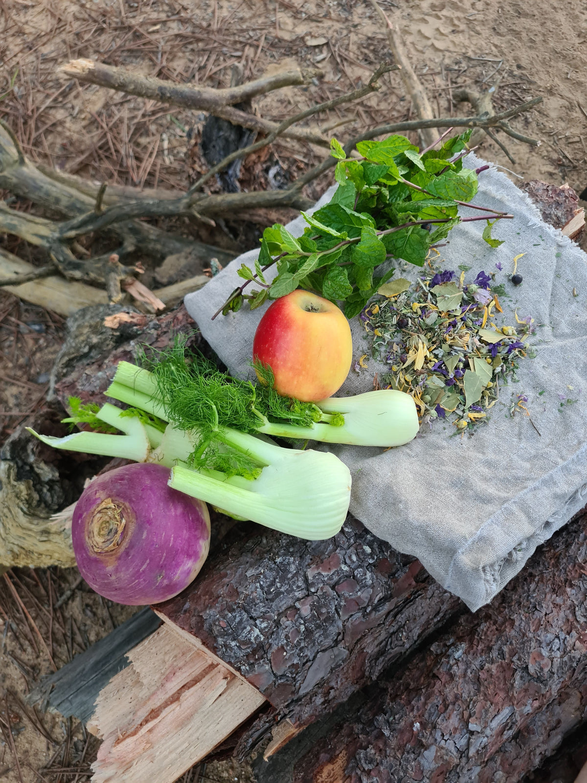 Cuisine Gauloise au chaudron 